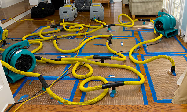 Professional Water Damage Repair technician working in Harmony, RI